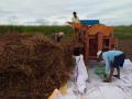 गडहिंग्लज परिसरात सोयाबीन काढणीस प्रारंभ - Marathi News | Begin soybean harvesting in Gadhinglaj area | Latest kolhapur News at Lokmat.com