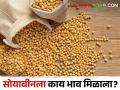 Sorghum Market : अजनगाव सुर्जी बाजार समितीत पिवळ्या सोयाबीनला काय भाव मिळाला? वाचा आजचे दर  - Marathi News | Latest News Todays Soybean Market Price in ajangaon surji market yard see details | Latest agriculture News at Lokmat.com