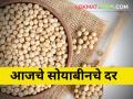 Soyabin Market: आज सोयाबीनला काय भाव मिळाला? जाणून घ्या आजचे बाजारभाव  - Marathi News | Latest News Todays soyabin Market price in maharashtra check details | Latest agriculture News at Lokmat.com