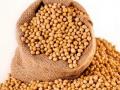 बोगस सोयाबीन बियाणे; २५ कंपन्यांवर गुन्हे दाखल - Marathi News | Bogus bean seeds; Crimes filed against 25 companies | Latest nashik News at Lokmat.com