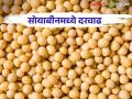 Soybean Market Update : सोयाबीनचे दर पोहोचले प्रतिक्विंटल 'या' दरात; शेतकऱ्यांना प्रतीक्षा हमीभावाची - Marathi News | Soybean Market Update: Soybean prices reach rate per quintal; farmers waiting for Guaranteed price | Latest agriculture News at Lokmat.com