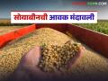 Soybean Market Update : लातूरमध्ये सोयाबीनचे दर घसरले, पण शेतकऱ्यांची हमीभाववर नजर - Marathi News | latest news Soybean Market Update: Soybean prices down in Latur, but farmers eyeing the MSP | Latest agriculture News at Lokmat.com