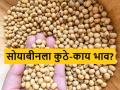 Soybean Bajarbhav : पिवळ्या आणि पांढऱ्या सोयाबीनला कुठे-काय भाव मिळाला? वाचा सविस्तर  - Marathi News | Latest News Todays Soybean Market price in ahmednagar market yard check here details | Latest agriculture News at Lokmat.com
