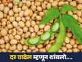 पुढील काळात दर वाढण्याच्या अपेक्षेने ठेवलेले सोयाबीनही विकले - Marathi News | The stored soybeans were also sold in anticipation of price increase in the future | Latest agriculture News at Lokmat.com
