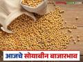 Soybean Bajar Bhav : कारंजा बाजार समितीमध्ये सोयाबीनची आवक वाढली; काय मिळाला भाव ते वाचा सविस्तर - Marathi News | Soybean Bajar Bhav : Soybean arrival increased in Karanja Bazaar Samiti; Read the price in detail | Latest agriculture News at Lokmat.com
