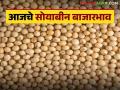 Soybean Bajar Bhav : पिवळ्या सोयाबीनची आवक वाढली; कसा मिळाला दर ते वाचा सविस्तर - Marathi News | Soybean Bajar Bhav : Inflow of yellow soybeans increased; Read in detail how to get the rate | Latest agriculture News at Lokmat.com