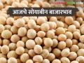 Soybean Bajar Bhav : राज्यातील बाजार समितीमध्ये सोयाबीनची आवक मंदावली; काय मिळाला भाव ते वाचा सविस्तर - Marathi News | Soybean Bajar Bhav : Soybean arrival slows down in state market committee ; Read the price in detail | Latest agriculture News at Lokmat.com