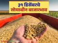 Soybean Bajar Bhav : वर्षाच्या शेवटच्या दिवशी सोयाबीनची आवक किती; कसा मिळाला दर ते वाचा सविस्तर - Marathi News | Soybean Bazaar Bhav: How much soybeans arrived on the last day of the year; Read in detail how the price was obtained | Latest agriculture News at Lokmat.com