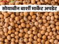 Soybean Bajar Bhav : बार्शी बाजारात सहा ते सात हजार कट्टे सोयाबीनची.. आवक कसा मिळतोय दर - Marathi News | Soybean Bajar Bhav : Six to seven thousand bags soybeans arrival in Barshi market how much get market price | Latest agriculture News at Lokmat.com