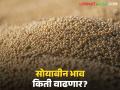 Soybean Market : तीन वर्षांनी सोयाबीन पाच हजारी; अजून किती वाढणार भाव? वाचा सविस्तर - Marathi News | latest news Soybean Market: Soybean price at Rs 5,000 after three years; How much more will the price increase? Read in detail | Latest agriculture News at Lokmat.com