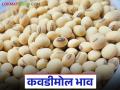 Soybean Market : सोने-चांदीने गाठला उच्चांक; सोयाबीनला मात्र कवडीमोल भाव - Marathi News | Soybean Market : Gold and silver hit record high; Soybean prices remain low | Latest agriculture News at Lokmat.com