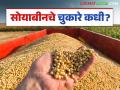 Soybean Procurement: आधीच सोयाबीनला कमी भाव त्यातही ६४९ कोटींचे चुकारे रखडले; काय आहे कारण वाचा सविस्तर - Marathi News | Soybean Procurement: Already low soybean prices, 649 crores of arrears have been incurred; Read the reason in detail | Latest agriculture News at Lokmat.com