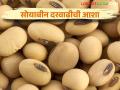 Soybean Market : सोयाबीनला अपेक्षित दर मिळणार तरी कधी शेतकऱ्यांचा प्रश्न; अपेक्षित दराच्या प्रतीक्षेत  - Marathi News | Soybean Market: Farmers are Awaiting for expected rate of soybean | Latest agriculture News at Lokmat.com