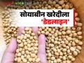 NAFED soybean center : ११ हजार शेतकऱ्यांची सोयाबीन खरेदी करणार कशी? वाचा सविस्तर - Marathi News | NAFED soybean center: How will soybeans from 11,000 farmers be purchased? Read in detail | Latest agriculture News at Lokmat.com