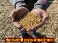 Fake Seeds : बियाण्यांचा फटका; २०० हेक्टरवर उगवण नाही, शेतकरी ग्राहक मंचात घेणार धाव वाचा सविस्तर - Marathi News | latest news Fake Seeds: Seed disaster; No germination on 200 hectares, farmers will take to consumer forum Read in detail | Latest agriculture News at Lokmat.com