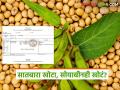 बनावट सातबारा, खोटा पेरा; सोयाबीन खरेदीत तब्बल १ कोटींचा घोटाळा उघड वाचा सविस्तर - Marathi News | latest news Fake Satbara, fake sowing; Scam of Rs 1 crore exposed in soybean purchase read in details | Latest agriculture News at Lokmat.com