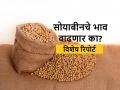 Soybean Market: सोयाबीनचे गाळप वाढले; शेतकऱ्यांना मिळणार का दराचा दिलासा? - Marathi News | Soyabean Market Price: Increased soybean oil extraction and soy meal export in India | Latest agriculture News at Lokmat.com