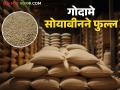Soybean Procurement: ४ लाख क्विंटलवर सोयाबीन खरेदी केंद्रांतच काय आहे कारण वाचा सविस्तर - Marathi News | Soybean Procurement: Read in detail why there is 4 lakh quintals of soybean procurement at the center | Latest agriculture News at Lokmat.com