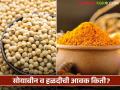 Soybean halad Market : सोयाबीन व हळदीची आवक झाली कमी; दर काही केल्या वाढेनात - Marathi News | Soybean Halad Market : Inflow of soybeans and turmeric decreased; Rates will not increase | Latest agriculture News at Lokmat.com