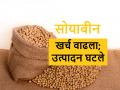 खाद्यतेलाची आयात वाढविल्याने साेयाबीन उत्पादकांची गळचेपी - Marathi News | Soybean edible oil import affects market rate and soybean farmer | Latest agriculture News at Lokmat.com
