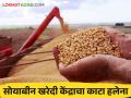 soybean bajar bhav : सोयाबीन हमीभावाच्या मार्गात 'मॉइश्चर चा खोडा; काय आहे एफएक्यू वाचा सविस्तर - Marathi News | Soybean bajar bhav : 'moisture trunk' in the way of soybean assurance; Read the What's FAQ in detail | Latest agriculture News at Lokmat.com