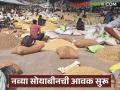 Soybean Market : नव्या सोयाबीनची आवक सुरू; दर्जेदार मालाला जास्त दराची शक्यता वाचा सविस्तर - Marathi News | latest news Soybean Market: New soybean arrivals begin; High prices likely for quality goods Read in detail | Latest agriculture News at Lokmat.com