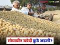 Soybean Kharedi : नाफेड नोंदणी सुरू… पण सोयाबीन खरेदी कुठे अडली? वाचा सविस्तर - Marathi News | latest news Soybean Kharedi: NAFED registration begins… but where did the soybean purchase stop? Read in detail | Latest agriculture News at Lokmat.com