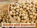 Soybean procurement : मुदतवाढ देऊनही सोयाबीन खरेदीची कासवगती संपता संपेना वाचा सविस्तर - Marathi News | Soybean procurement: Despite extension, soybean procurement continues to drag on Read in detail | Latest agriculture News at Lokmat.com