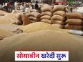 Soybean Kharedi : नवीन हंगामातील सोयाबीन खरेदी केंद्राला प्रारंभ; कसा मिळाला दर वाचा सविस्तर - Marathi News | latest news Soybean Kharedi: New season soybean procurement center begins; Read in detail how to get the price | Latest agriculture News at Lokmat.com