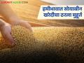 Soybean Kharedi : शेतकऱ्यांसाठी दिलासादायक बातमी; सोयाबीन खरेदीचा ठरला मुहूर्त वाचा सविस्तर - Marathi News | latest news Soybean Kharedi: Good news for farmers; It is time to buy soybeans. Read in detail | Latest agriculture News at Lokmat.com