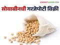 Soybean Market : लातूरच्या बाजार समितीत सोयाबीनची विक्रमी आवक ; सर्वसाधारण दर वाढेना - Marathi News | Soybean Market: Record arrival of soybeans in Latur's market committee; General rates do not increase | Latest agriculture News at Lokmat.com