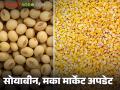 Soybean Maize Bajar Bhav : सोयाबीन, मक्याची कोणत्या बाजारात आवक; कसा मिळाला दर ते वाचा सविस्तर - Marathi News | Soybean Maize Bazaar Bhav: In which market did soybean and maize arrive on Sunday; Read in detail how the price was obtained | Latest agriculture News at Lokmat.com