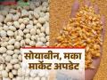 soybean maize market: रविवारी बाजारात सोयाबीन, मक्याची आवक किती; कसा मिळाला दर ते वाचा सविस्तर - Marathi News | Soybean maize market: How much soybean and maize arrived in the market on Sunday; Read in detail how the prices were obtained | Latest agriculture News at Lokmat.com