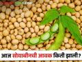 Soybean Market : पिवळ्या सोयाबीनची सर्वाधिक आवक, भाव काय मिळाला? वाचा सविस्तर - Marathi News | Latest News Inflow of 13 thousand 230 quintals of soybeans in market yards, check market price | Latest agriculture News at Lokmat.com