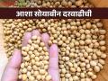Soybean Market : सोयाबीन दरवाढीच्या आशा पल्लवीत; काय मिळाला दर जाणून घेऊया सविस्तर - Marathi News | Soybean Market: Hopes of Soybean Price Increase; Let's find out the price in detail | Latest agriculture News at Lokmat.com