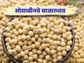 Soybean Market Update : निफाडच्या बाजारात सोयाबीनची आवक सर्वाधिक; काय मिळाला 'दर' वाचा सविस्तर - Marathi News | Soybean Market Update: Soybean arrival is highest in Niphad market; Read in details | Latest agriculture News at Lokmat.com