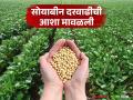 Soybean Market Update: हमीभावाकडे झेपावणारा सोयाबीन दर गडगडला..! जाणून घ्या काय आहे कारण - Marathi News | | Latest agriculture News at Lokmat.com
