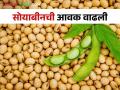 Soybean Market सोयाबीनची आवक वाढली; दरकोंडी मात्र कायम, वाचा काय मिळतोय दर - Marathi News | Soybean Market Inflow of soybeans increased; However, the rate crisis remains, read what the rate is getting | Latest agriculture News at Lokmat.com