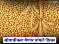 खाद्यतेलाच्या दरात वाढ झाल्याने सोयाबीनला चांगले दिवस येणार; अजून दरवाढ होण्याची शक्यता - Marathi News | Soybean will have a good day due to the increase in edible oil prices; further price hike is likely | Latest agriculture News at Lokmat.com