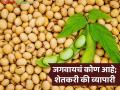 कुणासाठी सुरू आहे दर वाढीचा खटाटोप? सोयाबीनच्या वाढलेल्या बाजारभावापुढे शेतकऱ्यांचा सवाल - Marathi News | Who is the price hike campaign going on for? Farmers question regarding the increased market price of soybeans | Latest agriculture News at Lokmat.com