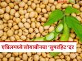 Soybean Market : सोयाबीनने घेतली झेप; ६ हजार पार दर, अजून वाढणार का? - Marathi News | latest news Soybean Market: Soybean has taken a leap; Price of 6 thousand rupees, will it increase further? | Latest agriculture News at Lokmat.com