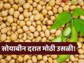 Soybean Market : सोयाबीन बाजारात मोठा ट्विस्ट; दर वाढले, पण फायदा कुणाला? - Marathi News | latest news Soybean Market: Big twist in the soybean market; Prices increased, but who benefits? | Latest agriculture News at Lokmat.com