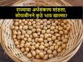 अर्थसंकल्पाच्या दिवशी आज सोयाबीनला राज्यात कसा भाव मिळाला? - Marathi News | Interim budget Maharashtra: know today's Soybean market rates | Latest agriculture News at Lokmat.com