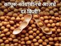 सोयाबीन-कापसाला बाजारात किती मिळतोय दर? जाणून घ्या - Marathi News | maharashtra soybean cotton rates price market yard diwali festival | Latest agriculture News at Lokmat.com
