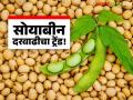 Soybean Market Update : हमीभावाचा दबाव! नाफेडमुळे सोयाबीन बाजारात दराचा खेळ सुरू वाचा सविस्तर - Marathi News | latest news Soybean Market Update: Pressure of guaranteed price! Price game in soybean market due to NAFED Read in detail | Latest agriculture News at Lokmat.com