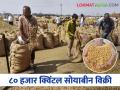 Soybean Market आर्थिक अडचणींमुळे हंगाम संपूनही बाजारामध्ये सोयाबीनची आवक - Marathi News | Soybean Market Inflow of soybeans in the market despite the end of the season due to financial constraints | Latest agriculture News at Lokmat.com
