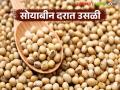 Soybean Market : सोयाबीन दरात उसळी; जुन्या सोयाबीनला सोन्याचा भाव वाचा सविस्तर - Marathi News | latest news Soybean Market: Soybean prices surge; Read the price of gold for old soybeans in detail | Latest agriculture News at Lokmat.com