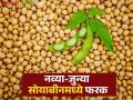 Soybean Market Update : शेतकऱ्यांचा सवाल : नव्या-जुन्या सोयाबीनमध्ये भेदभाव का? - Marathi News | Soybean Market Update: Farmer's question: Why discrimination between new and old soybeans? | Latest agriculture News at Lokmat.com
