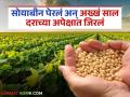 Soybean Market Update: सोयाबीन दराने केला भ्रमनिरास; कुणी घरातच ठेवलं, तर कुणी बेभाव विकलं वाचा सविस्तर - Marathi News | Soybean Market Update: Soybean prices disappointed; Some kept them at home, while others sold them at a low price. Read in detail | Latest agriculture News at Lokmat.com