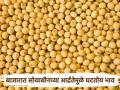 Soyeban Market : सोयाबीन वधारले तरी हमीभावाच्या अलीकडेच; आर्द्रता जास्त असल्याने दरामध्ये नरमाई - Marathi News | Soyeban Market: Soybean increased but price guaranteed recently; Mildness in rate due to high humidity | Latest agriculture News at Lokmat.com